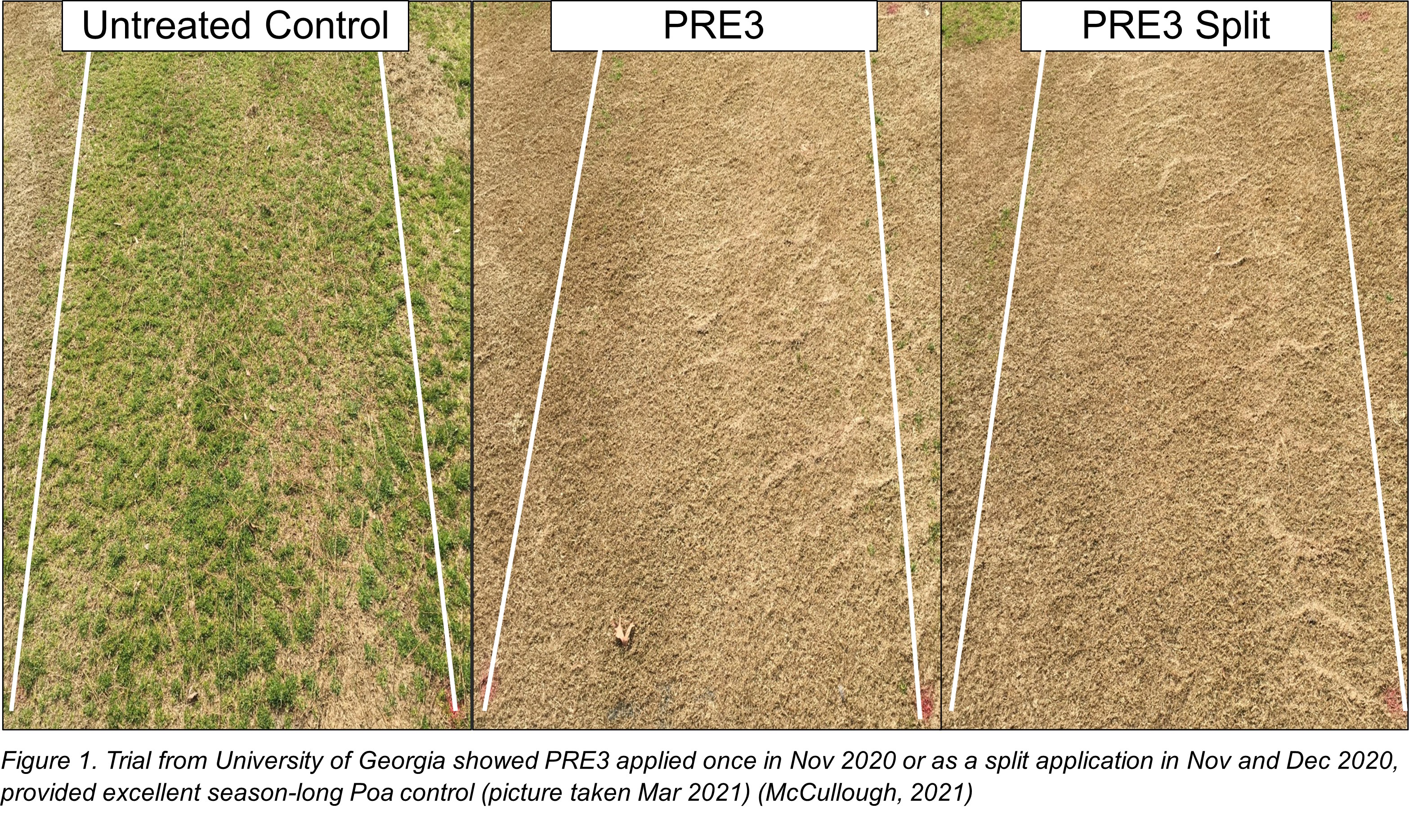 Figure 1. Herbicide resistance_bayer